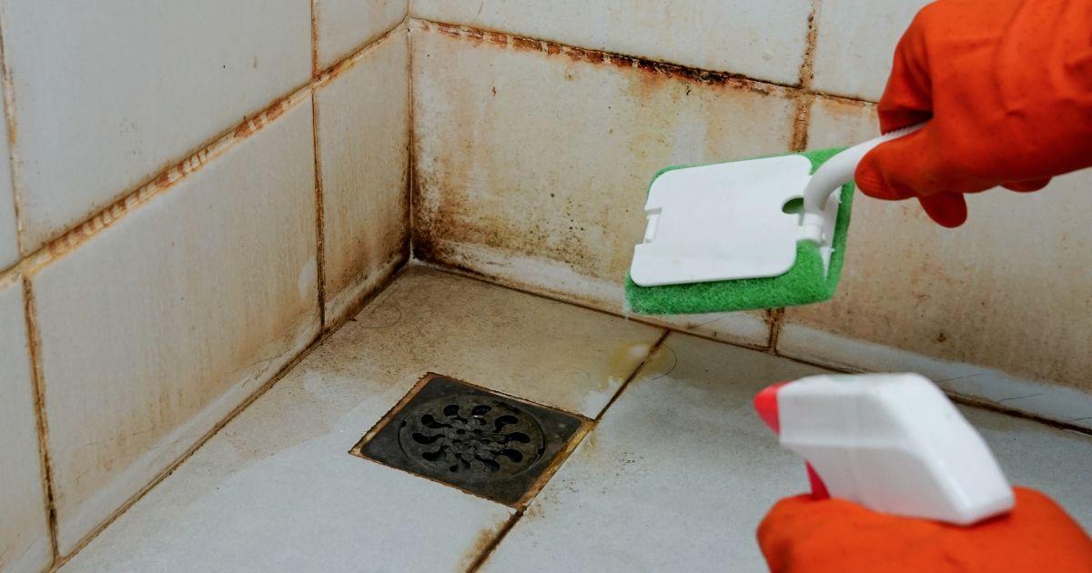 housecroo end of lease cleaners Sydney