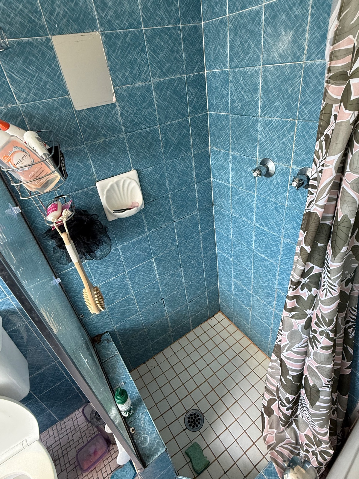 Before - Bathroom Deep Clean