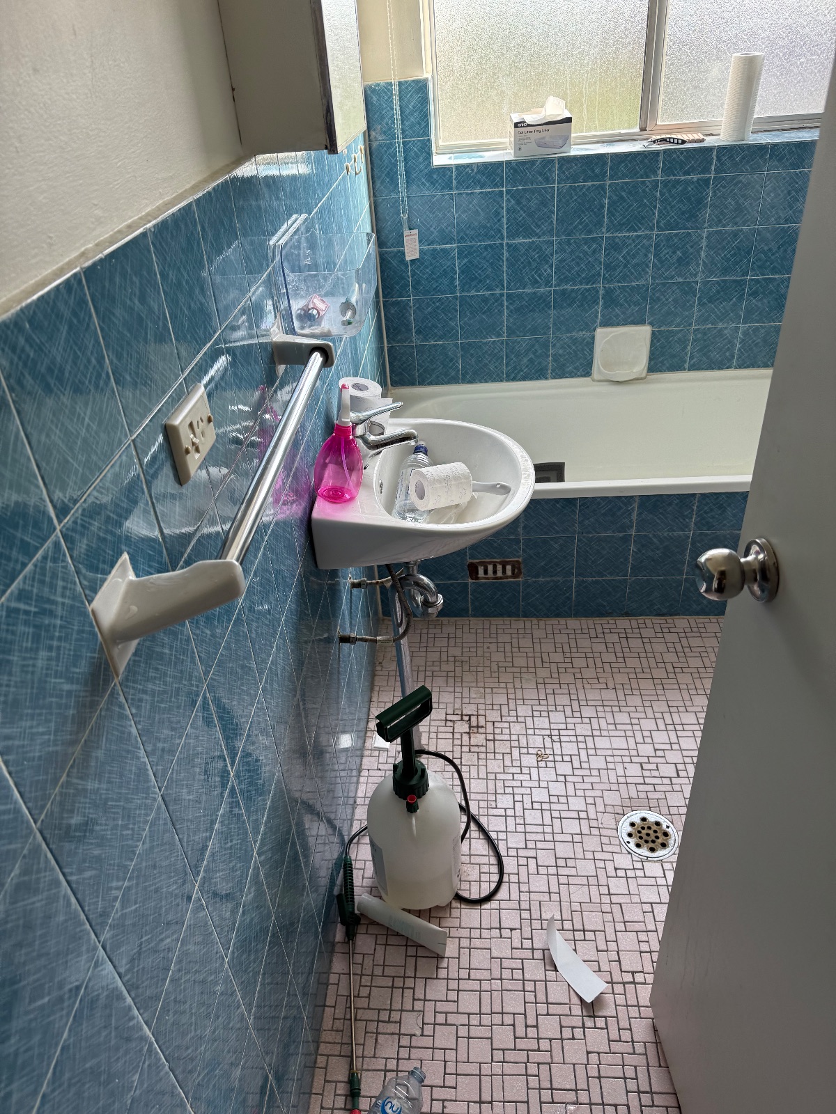 Before - Deep Bathroom Clean